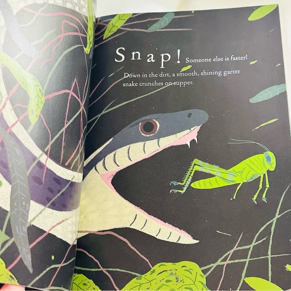 Up in the Garden & Down in the Dirt Scholastic Paperback Picture Book - Picture 6 of 8